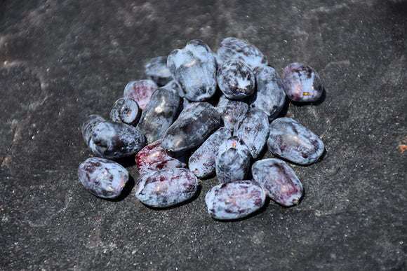 Tundra Honeyberry fruit