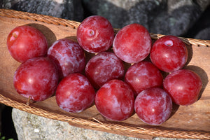 Superior Plum fruit